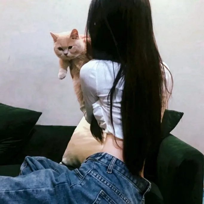 狂怒沙暴
