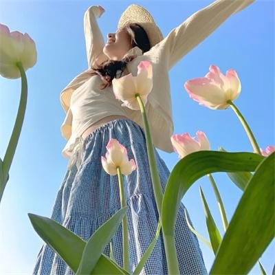 风流家族